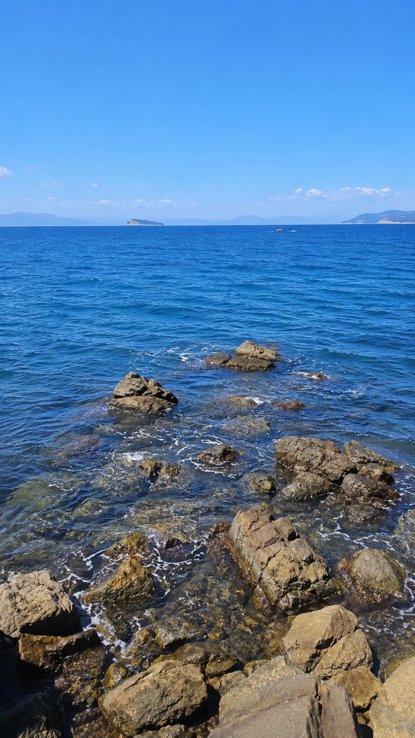 Wild beauty of coastal reefs