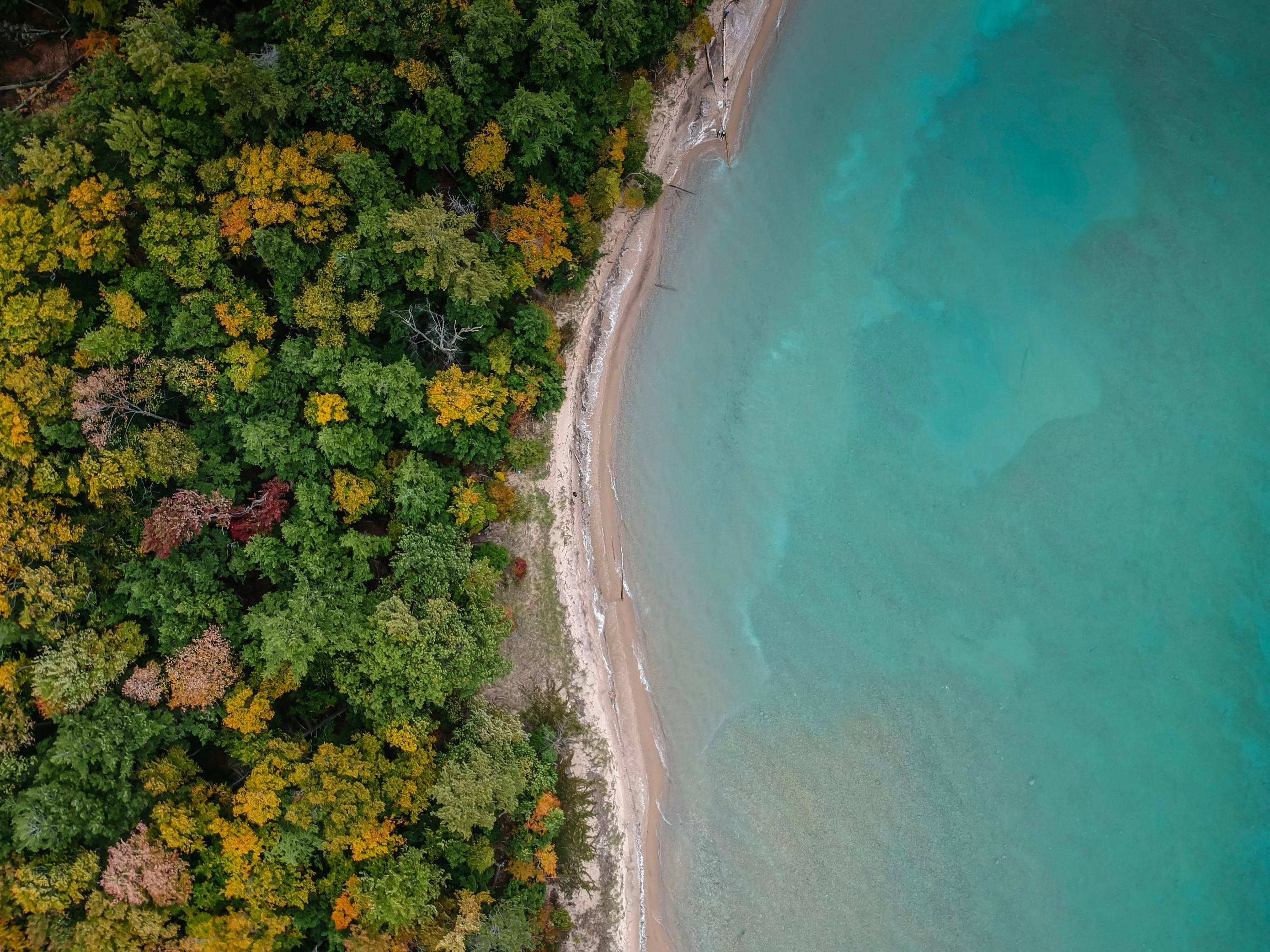 aerial photography of beach