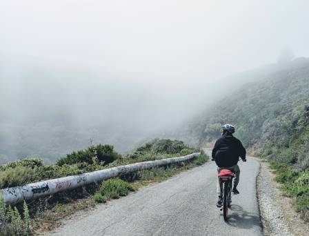 Exploring Seattle Southside: The Top 5 Biking Trails to Discover