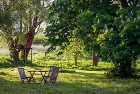 19 Innovative Garden Decorating Strategies for Compact Spaces