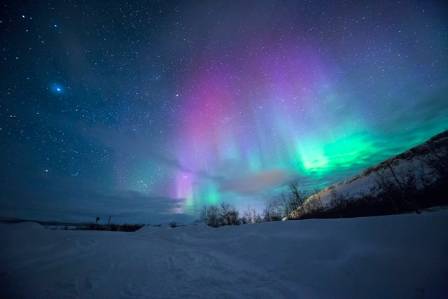 Auroras: The Northern and Southern Lights