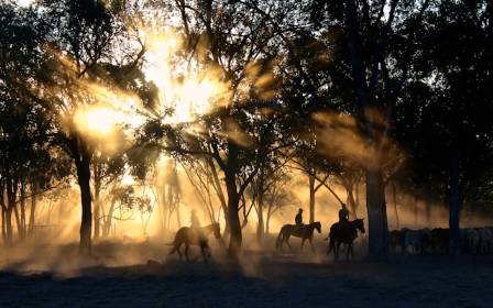 Uncovering 5 Benefits of Horseback Riding