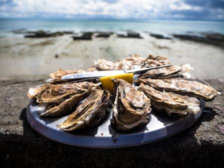Easy Ways to Cook Oysters