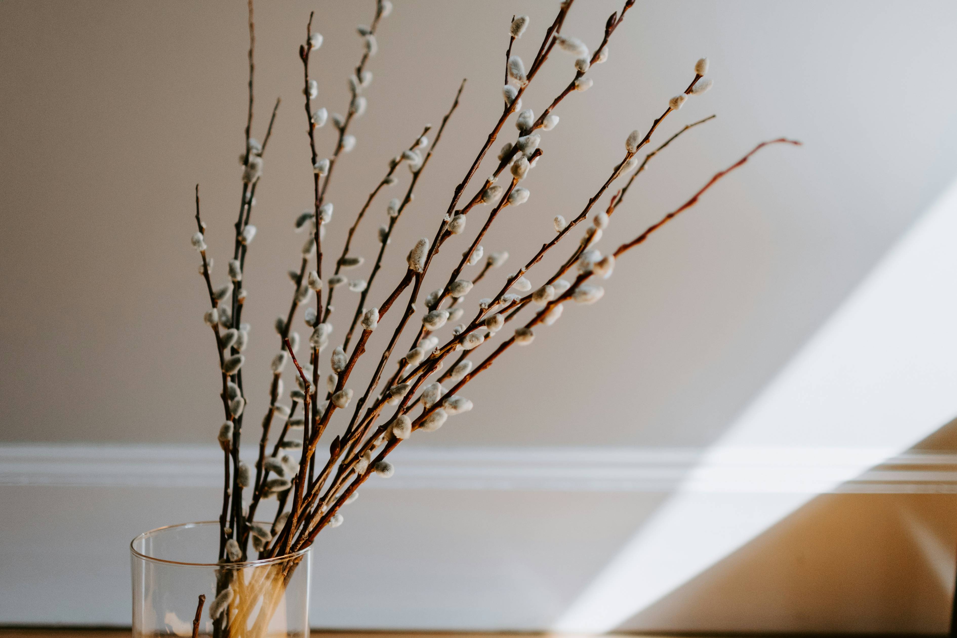 a vase with some branches in it on a table