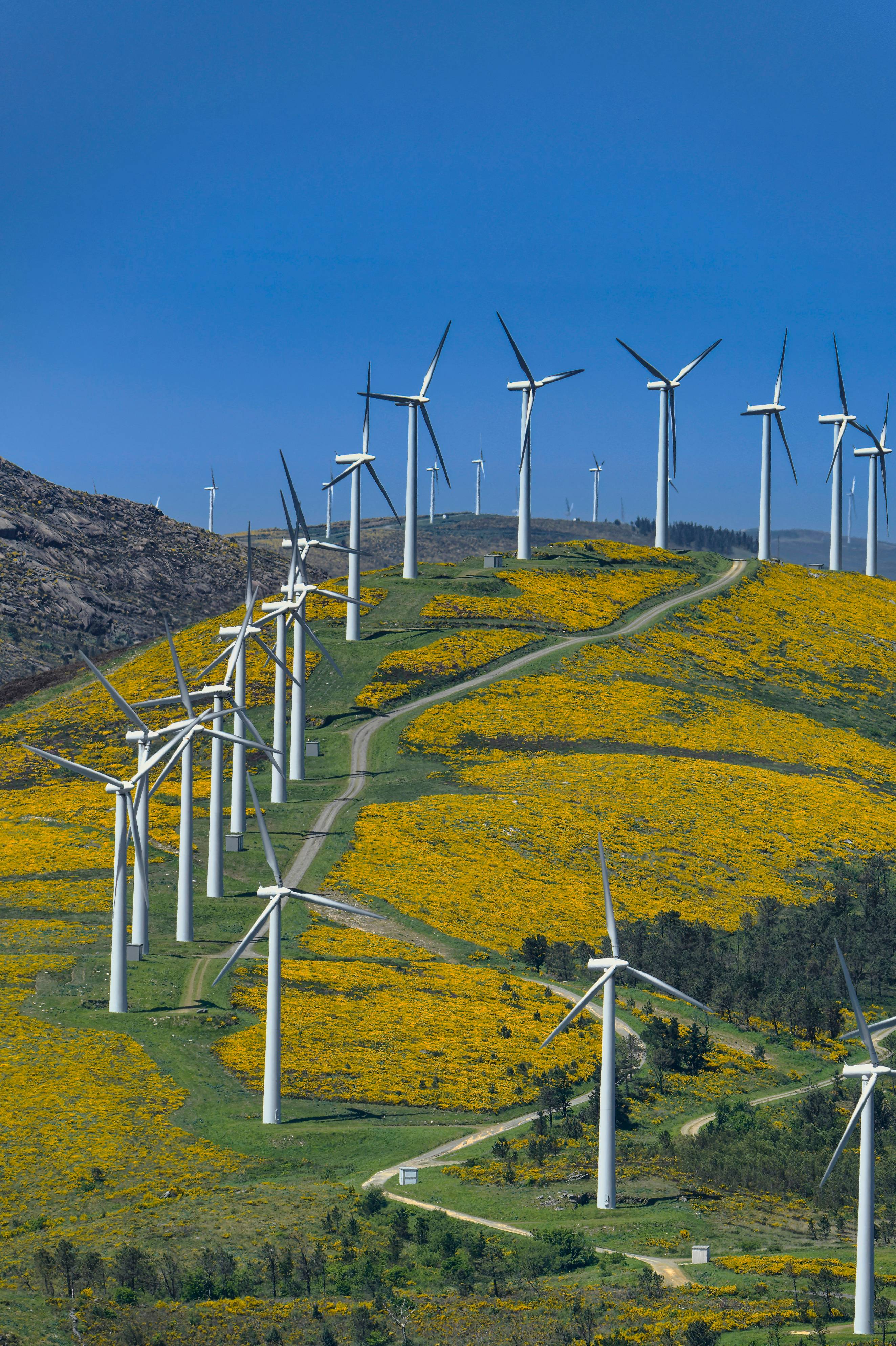Wind turbines generate clean energy on a beautiful landscape.
