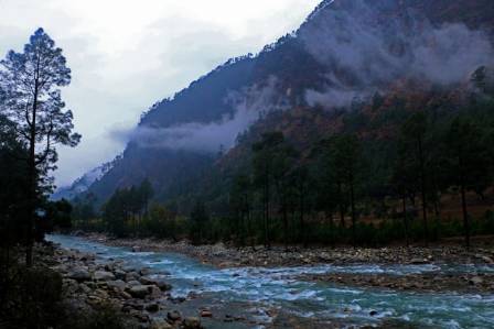 Forests and Rivers in the Alpine Lakes Region