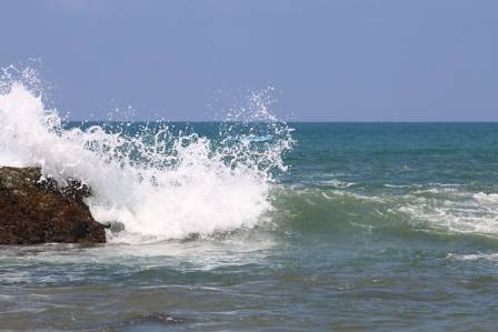 The motion of the Ocean explained: Waves and tides  